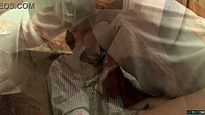 Suited Gay Twinks Lewis Romeo and Steve Agostina Anal Breed