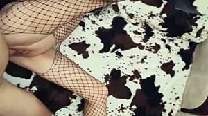 my wife in stockings gets anal