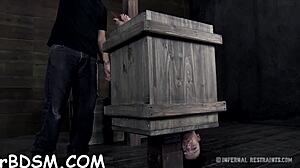 extreme bdsm excites that brunette hottie