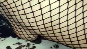 my wife in stockings gets anal