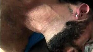 me and my furry boy continue our hardcore fun with big cocks and asses