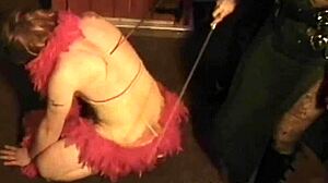 Mistress Humiliates Sissy Bitch Boy