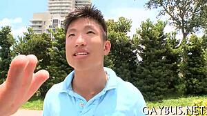 Homosexual Video Sex Scenes Compilation