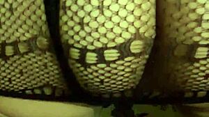 Wife in cowgirl and doggy positions