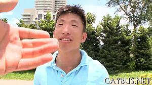 Homosexual Video Sex Scenes Compilation