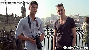 gay porn videos for your viewing pleasure.