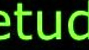 Spanish Hentai Anime Instructions for Shogun Raiden Video with Sound