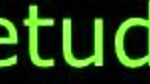 Spanish Hentai Anime Instructions for Shogun Raiden Video with Sound