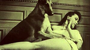 Эй, хочешь подсмотреть за винтажной запретной киской на улице?