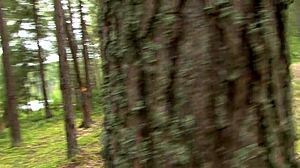 Outdoor picnic turned into hot sex with stepsister Lesha