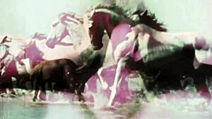 Hey, vil du smugkigge på vintage tabu-fisse udendørs?