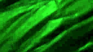 Touching The Chubby Girl's Brown Nylon Jacket Candidly On The Street