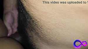 Four studs in a box unleash raw group desires