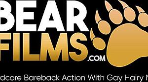 blindfolded bear avi strider jerks off solo