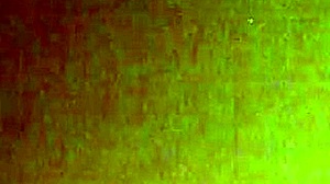 Amber Crider, Fat Ass Cheating Whore, Sucks and Gets Fucked