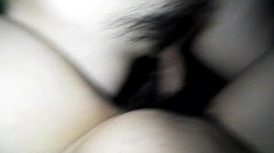 What’s this gentle Vietnamese vibe about?