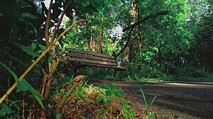blonde couple reaches climax in forest sport