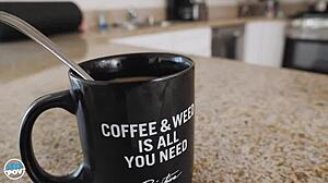 Nina North Busty Roommate POV with Monster Cock