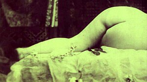 dark lantern entertainment presents vintage blowjobs from my secret life the erotic confessions of a victorian english gentleman, hairy and retro