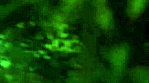 i see the sexy nude blonde girl outdoor at 10 to midnight, her hairy tits exposed