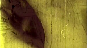 vintage anime erotic cartoons