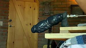 yo, gay sissy polar bear gets slammed hard