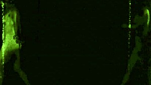 Vintage Pornography Contest 1870s Versus 1970s Fucking