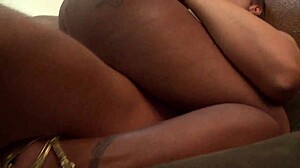 Damn! My Black Secretary Loves My Cock Over My Resume in Wild Titty Fuck!