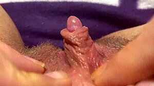 Sono ossessionato dal strofinare il mio clitoride enorme in un POV ravvicinato estremo.