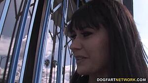 busty cougar eva karera sucks huge black cock in hardcore sex