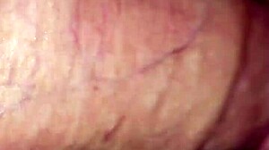 Amateur Titfuck And Cumshot Action