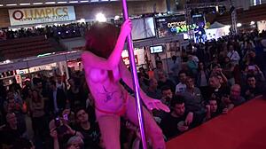 i visited the erotic salon in barcelona 2015