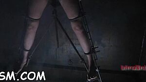 Playgirl Goes Wild with Zealous Dildo BDSM Action