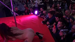 i visited the erotic salon in barcelona 2015