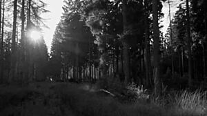 the blonde shows new bra, guy reacts