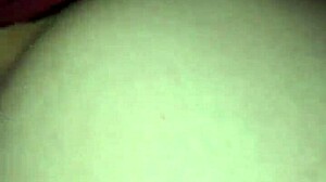 The Little Fox Of The Villa