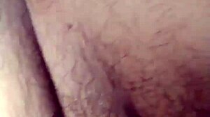 The Little Fox Of The Villa