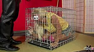 dominating scott rhodes overwhelms maxine x with intense sucking and assfucking sessions