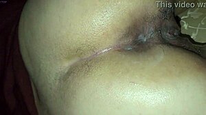 did stepmom moan loud during doggy style fun?