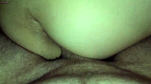 did stepmom moan loud during doggy style fun?