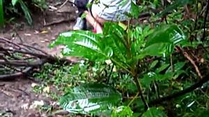 Amateur Machos Engage In Anal Group Sex And Bent Over Ass Fucking In Forest Orgy