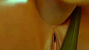 STF Cammy compilation in 3D!