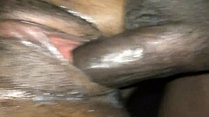 check out this good pussy getting fucked hard.