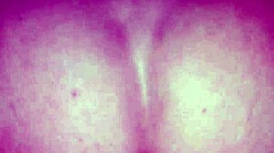 amateur riding reverse cowgirl