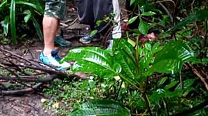 Amatör macholar orman orgisinde anal grup seks ve kıç sikme yapıyor