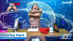 Hot milf subtly rides sybian to orgasm while delivering the news on webcam