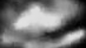 That Stripper Fucking And Sucking Was Worth The Private Show 😍