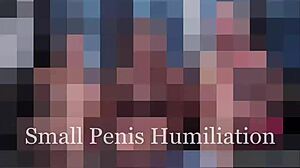 You Will Never Break Free From My Tight Scissorhold Grip.