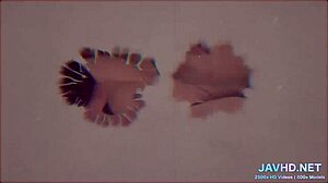 Fucking Japanese Amateur in Stockings and Pantyhose on Legs Vol 10