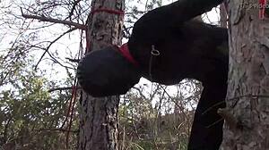 Tied Up Outdoors in Pantyhose and High Heels for Rough Fuck